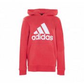 B Bl Hd, Vivred/White, 116,  Hoodies