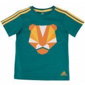 I Su B Grph Set, Eqtgrn/Sogold, 104, Adidas