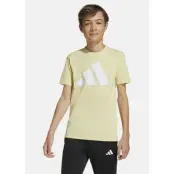 J Bl Tee 160, Powyel/White, 164, T-Shirts