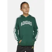 J C Colleg Hd, Cgreen, 164, Hoodies