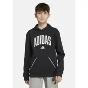 J Clgt Oh Fl Hd, Black/White, 164, Hoodies