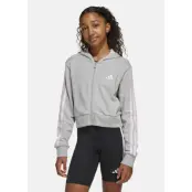Jg 3s Ft Fz Cro, Mgreyh/Clpink, 164, Hoodies