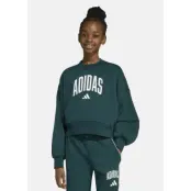 Jg Clgt Ft Swt, Aurivy/White, 128,  Sweatshirts