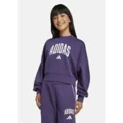 Jg Clgt Ft Swt, Aurplu/White, 164,  Sweatshirts