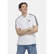 M 3s Pq Ps, White/Black, 2xl, Piketröjor