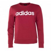 W E Lin Sweat, Actmar/White, 2xl, Adidas Kläder