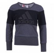 Yg W St Sweat, Dgreyh/Black, 116,  Tröjor