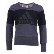 Yg W St Sweat, Dgreyh/Black, 128, Tröjor