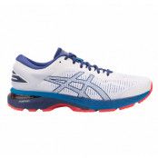 Gel-Kayano 25, White/Blue Print, 39