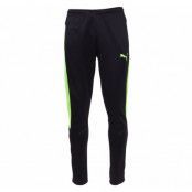 It Evotrg Pant, Puma Black-Green Gecko, Xl,  Puma