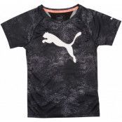 Training Aop Tee, Puma Black-Aop, 116,  Puma