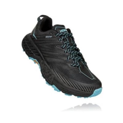 Hoka One One W Speedgoat 4 GTX
