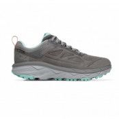 W Challenger Low Gore-Tex, Charcoal Gray / Wild Dove, 36