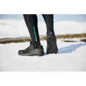 Icebug Arcus BUGrip GTX Running Shoes Men