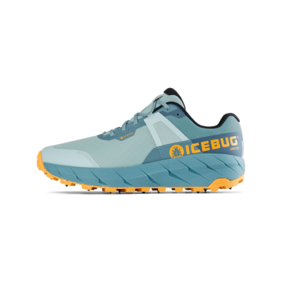 Icebug Arcus Women's BUGrip GTX - Cloud Blue