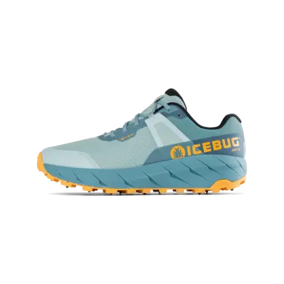 Icebug Arcus Women's BUGrip GTX - Cloud Blue