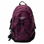 Columbus 30l, Plum/Charcoal, 10l,  Swedemount