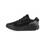 Icebug Arcus 2 Women's RB9X GTX - TrueBlack