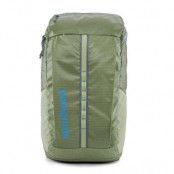 Patagonia Black Hole Pack 25L Friend Green