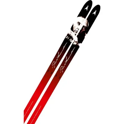 Åsnes Amundsen Nocolor