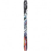 Atomic Bent 100