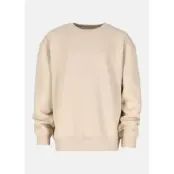 College Sweater JR, BEIGE, 160, Sweatshirts