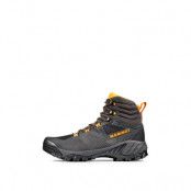 Mammut Sapuen High GTX Men