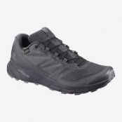 Salomon Sense Ride GTX