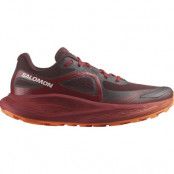 Salomon Shoes Glide Max Tr