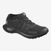 Salomon Shoes Sense Flow GTX