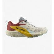 Salomon Shoes Sense Ride 5 Men