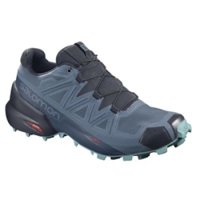 Salomon Speedcross 5 GTX W