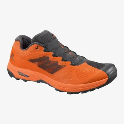 Salomon X Alpine /Pro