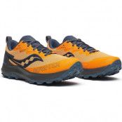 Saucony Peregrine 14 Gtxr Peel/Shadow