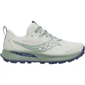 Saucony Peregrine 15 GTX W Quartz / Mist