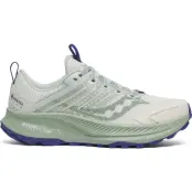 Saucony Ride TR2 GTX W Quartz/Mist