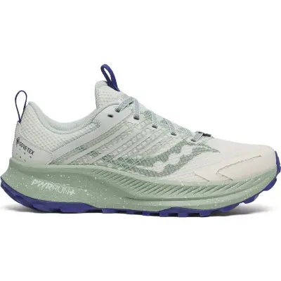 Saucony Ride TR2 GTX W Quartz/Mist