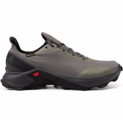 Shoes Alphacross Gtx, Grey/Black/Black, 43 1/3