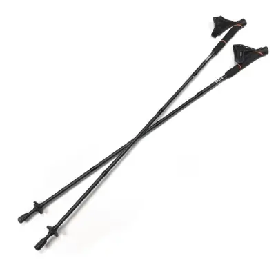 Silva Running Poles Carbon 120Cm