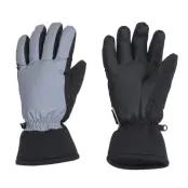 Lenny Gloves, Reflective Silver, 10,  Skidhandskar