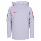 B Nk Dry Acdmy Hoodie Po, Wolf Grey/Lt Crimson/Lt Crimso, M,  Nike