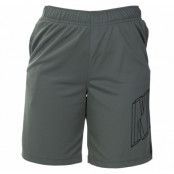 B Nk Dry Gfx Short, Juniper Fog, S, Shorts