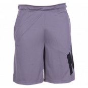 M Short Dry Su18 Gfx 1, Gunsmoke/Black, L,  Nike