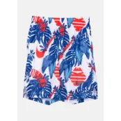 Nike Dri-Fit Boys' Printed Sho, Indigo Force/Habanero Red, L,  Nike