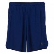 Nike Dry Men's Training Shorts, Blue Void/Black, L,  Nike