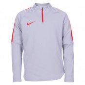 Y Nk Dry Acdmy Dril Top, Wolf Grey/Lt Crimson/Lt Crimso, S,  Nike