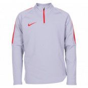 Y Nk Dry Acdmy Dril Top, Wolf Grey/Lt Crimson/Lt Crimso, Xs,  Nike