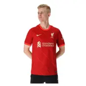 Liverpool Fc 2021/22 Stadium H, Gym Red/Bright Crimson/Fossil, M,  Nike