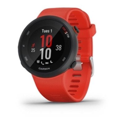 Garmin Forerunner 45 Large