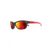 Julbo Player L Spectron 3 CF